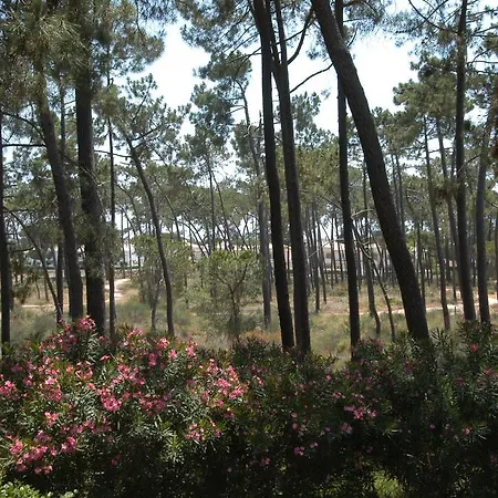 Pine Sun Park - Durcosa Appartement